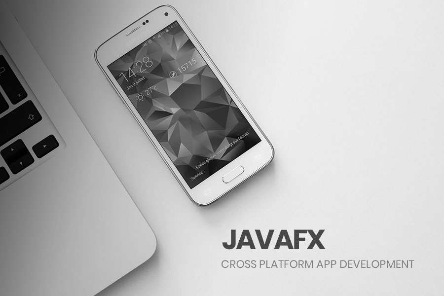 Cross Platform Mobile Development