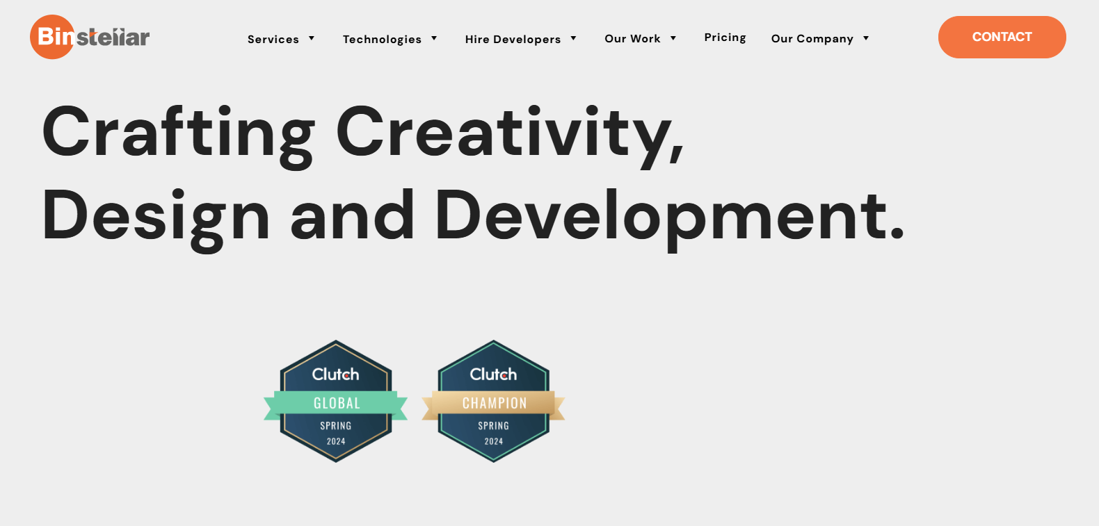 Software Development Companies in India