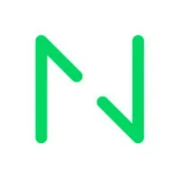 Netguru Icon