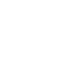 Natural Language Processing (NLP)