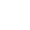 AI Model Audit