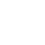 AI Lifecycle Review
