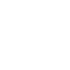 Generative AI Audit