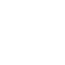 Development Roadmap