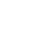 Domain Adaptation