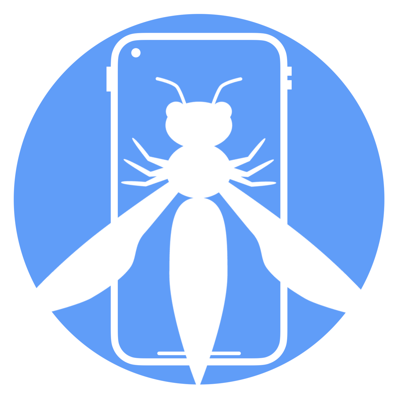 owasp masvs