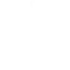 IT Security Consulting