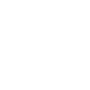 Risk Mitigation
