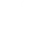 IT Staff Augmentation