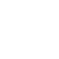 Custom travel software development