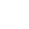 AI Model Fine Tuning