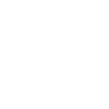 Generative AI Model Replication