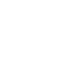 Custom LLM-Based Chatbots Development