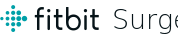 Fitbit Surge