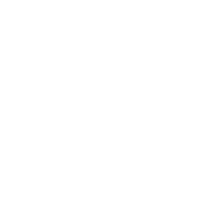 Custom ML Model Development