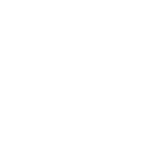 Neural Network Development