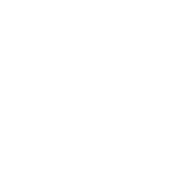 Chatbot & Virtual Assistant Development