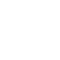 Natural Language Generation (NLG)