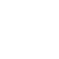 Named Entity Recognition (NER)
