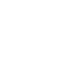 Custom travel software development